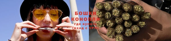 гидра Жердевка