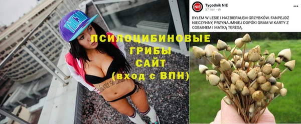 a pvp Покровск