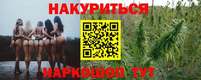СК Славгород